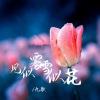 九歌 - 风似雾雪似花