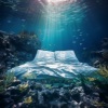 Ocean Waves for Deep Sleep、6Minute Nap、The Sleep Crew - Ocean Sleep Ballet