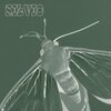 Silvio - no way