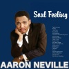 Aaron Neville《Tell It Like It Is》[MP3/LRC]