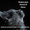 The Cat Relaxer、Música para dormir Gatos、Música Relajante para Perros - Melodías para Mimosos
