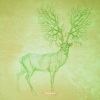 Beta Function - Ethereal Lights