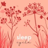 เพลงเด็กทารก ทาทาทา、เพลงวงจรนอนหลับ - ทัชมาฮาล