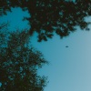 Izzamuzzic、Jemma Johnson - Hymn For The Weekend (Speed Up)