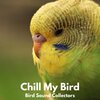 Bird Sound Collectors - Chill my Bird