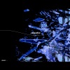 PHONO、SeyriN - serein