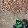Swishy CEO、Blow money my mf label、Scubba - So much (feat. Scubba)(Explicit)