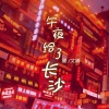 夏文婧 - 午夜给了长沙