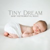 Soothing Baby Music Zone《Background Sleep Music》[MP3/LRC]