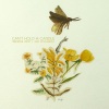 Brennin Hunt、Jaci Velasquez - Can't Hold a Candle