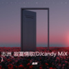 李志洲 - 志洲_寂寞情歌 (DJcandy MiX版)(Remix)