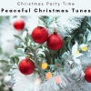 Christmas Party Time《The Twelve Days of Christmas: Nonstop》[MP3/LRC]