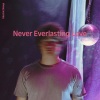 Electric Sheep《Never Everlasting Love》[MP3/LRC]