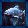 The Venusian - Mountain Dub