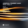 Joseph.N、Youssef Lulev、Kabir Khan - What I Feel (Kabir Khan Remix)