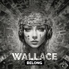 Wallace《Belong》[MP3/LRC]