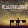 毕八一 - 孤独颂歌