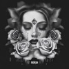 YoungApollo、Kraey - Verlierer (Explicit)