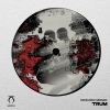 Kovalenco Gennadi - Trum