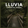 Lluvia del Bosque - Lluvia: Sonidos del Bosque (P01)