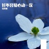 伍岚妮 - 我的心 你永远的居住权