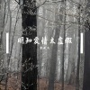 宋东义 - 没事哼一曲