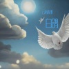 云南涛郎 - 白鸽