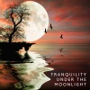 Janet Sleepy - Tranquility Under the Moonlight