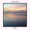 Artificial Complex - Devaneio