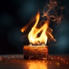 Life Sounds Nature、Sounds Of The Earth、Wide Noises - Fire's Overture Allegretto