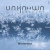Unknown Reality - Winterdays