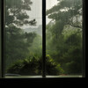 Música relajante para aliviar el estrés、Naturaleza Rainforest Sounds Collective、Lluvia Relajante - Lluvia Suave Sobre El Estanque