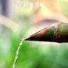 疗愈音律 - 清心禅语 风水和谐