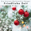Die kleinen Weihnachts-Sänger - Stille Nacht: erholsame Weihnachten