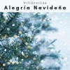 Villancicos《Oh Arbol de Navidad: para Todos》[MP3/LRC]