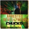 Arrested Development、Chuck D、Grandmaster Caz、Configa、Speech《Hip Hop Saves Lives (feat. Chuck D, Grandmaster Caz & Speech) (Explicit)》[MP3/LRC]