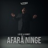 Leo De La Kuweit、Manele VTM - Afară ninge