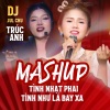 Trúc Anh、DJ Jul Chu - Mashup Tình Nhạt Phai & Tình Như Lá Bay Xa - Remix