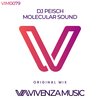 DJ Peisch - Molecular Sound