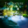Namah Shina - Walking in The Rain