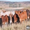 De Voca Rsa、MickeyG - Angisoze
