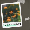 王优秀并不优秀 - 大鱼