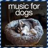 Relax My Dog、Dog Music Dreams、Puppy Music Therapy - Energetic Flow