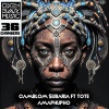 2023 Camblom Subaria、2023 Tote、Tote、Camblom Subaria - Amaphupho