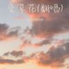 永不消逝的太阳 - 萱草花