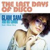 Biker Boy、Glam Sam And His Combo - The Last Days of Disco (Radio Edit)