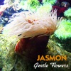 Jasmon - Delight