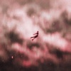 EB - Slipping (Explicit)