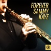 Sammy Kaye - I'm Beginning to See the Light