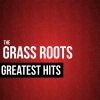 the grass roots - Wait a Million Years